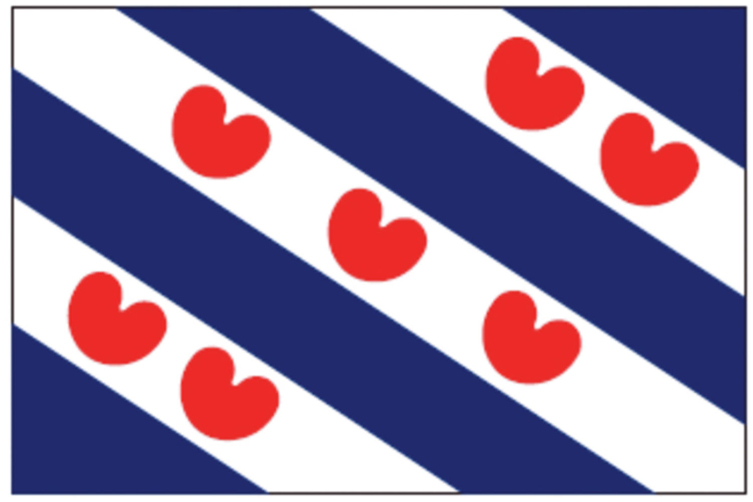 Friese vlag - 20x 30cm